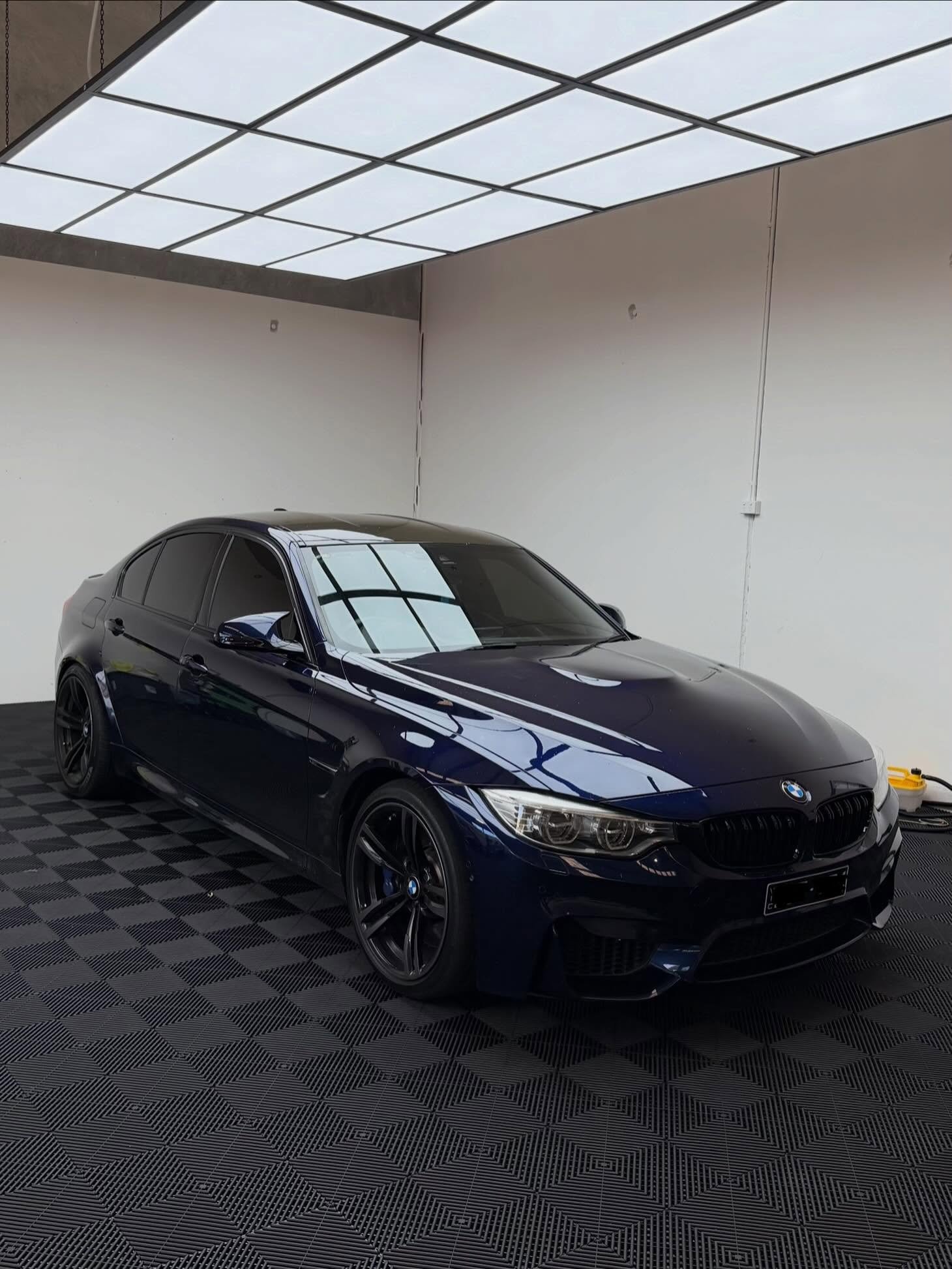 Caliper Paint project 29